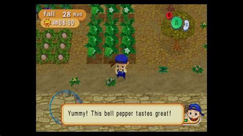 Creating the Ultimate Farm in Harvest Moon: Magical Melody